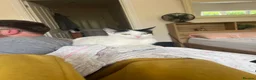 Mixed Breed cats for sale: 1 Beautiful girl Kitten in Great Malvern - Advert 6