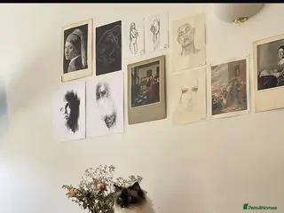 Ragdoll cats Active Female Ragdoll paper work - Advert 7