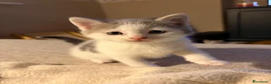 John 