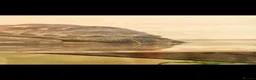 Turtle reptiles for sale: Chinese stripped necked turtle  in Birmingham - Advert 3