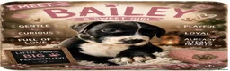 Mixed Breed dogs for sale: Amazing Cockerbull puppies - Advert 4