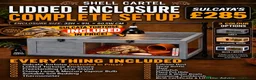 Tortoise reptiles for sale: BABY SULCATAS AND SET UPS - Advert 2