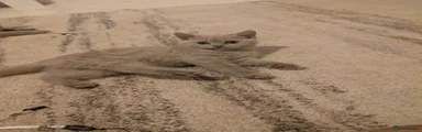 British Shorthair 2