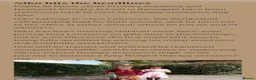 Cavapoochon dogs for sale: Exceptional Extensively health tested cavapoochon - Advert 21