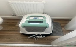 British Shorthair cats for sale: 2 Scottish Fold British Short Hairs - £50 Together - Image 8