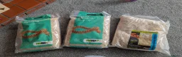 Corn Snake reptiles for sale: Gorgeous corn snake named Shreddy  in Hull - Advert 8