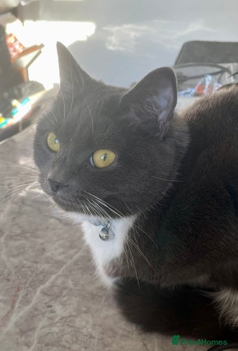 Gallery Image {{count}}