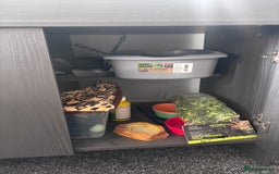 Bearded Dragon reptiles for sale: Bearded dragon with full set up  - Image 7