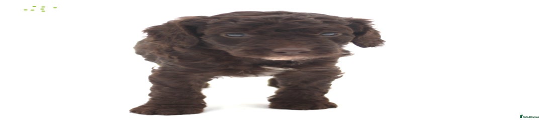 Dale