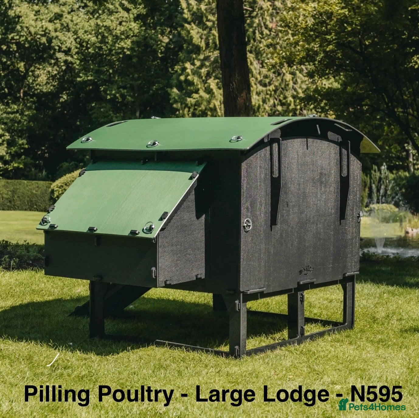 Chickens poultry Pilling Poultry - Chicken Lodge - Large - Advert 2