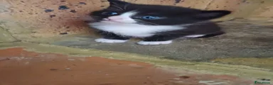 Tubs