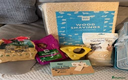 Hamster rodents for sale: Hamster cage set up with everything u need - Image 14