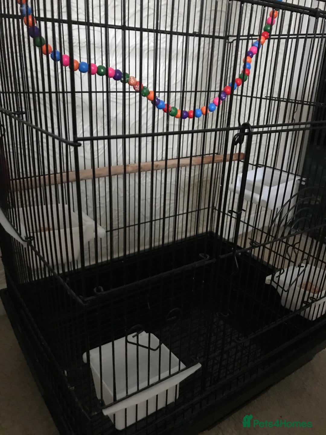 Budgerigars birds for sale: 2 budgies and cage - Image 9