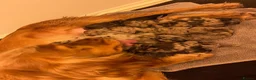 Cockapoo dogs for sale: GORGEOUS F1 MERLE COCKAPOOS HEALTH TESTED PARENTS  - Advert 10