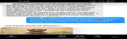 Labradoodle dogs for sale: Australia labradoodle puppies  - Advert 10