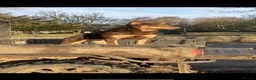 Australian Kelpie dogs for sale: Kelpie pups  in Cheddar - Advert 7