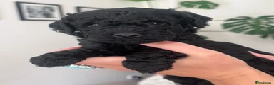 Girl 1 - All Black 