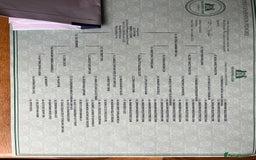 Dachshund dogs for sale: Dachshund puppies for sale  - Image 6