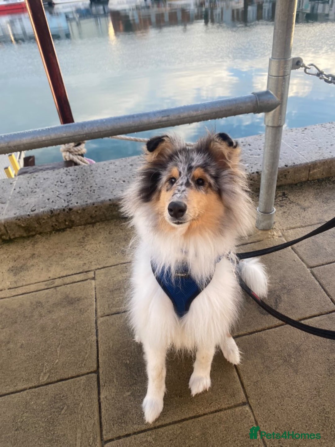 Gallery Image {{count}}