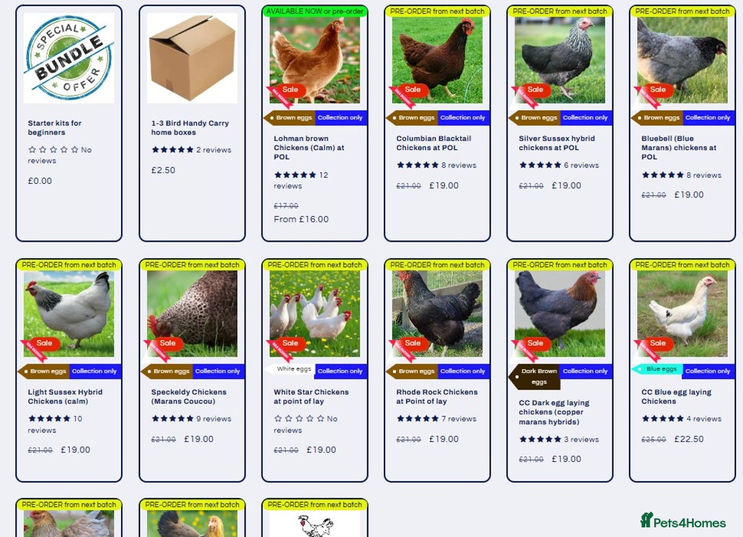 Chickens poultry for sale: Chickens for sale - Advert 1