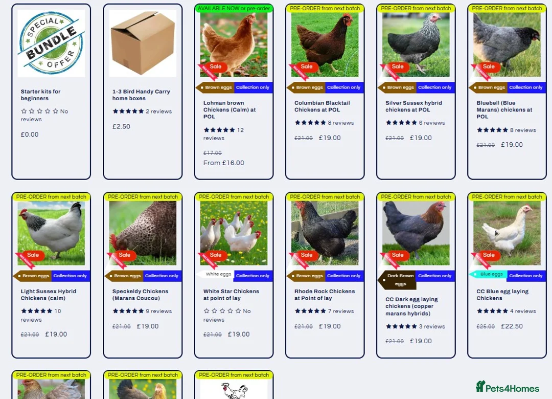 Chickens poultry for sale: Chickens for sale - Advert 1