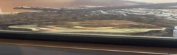 Boa Snake reptiles for sale: Sunglow boa constrictor  - Advert 2