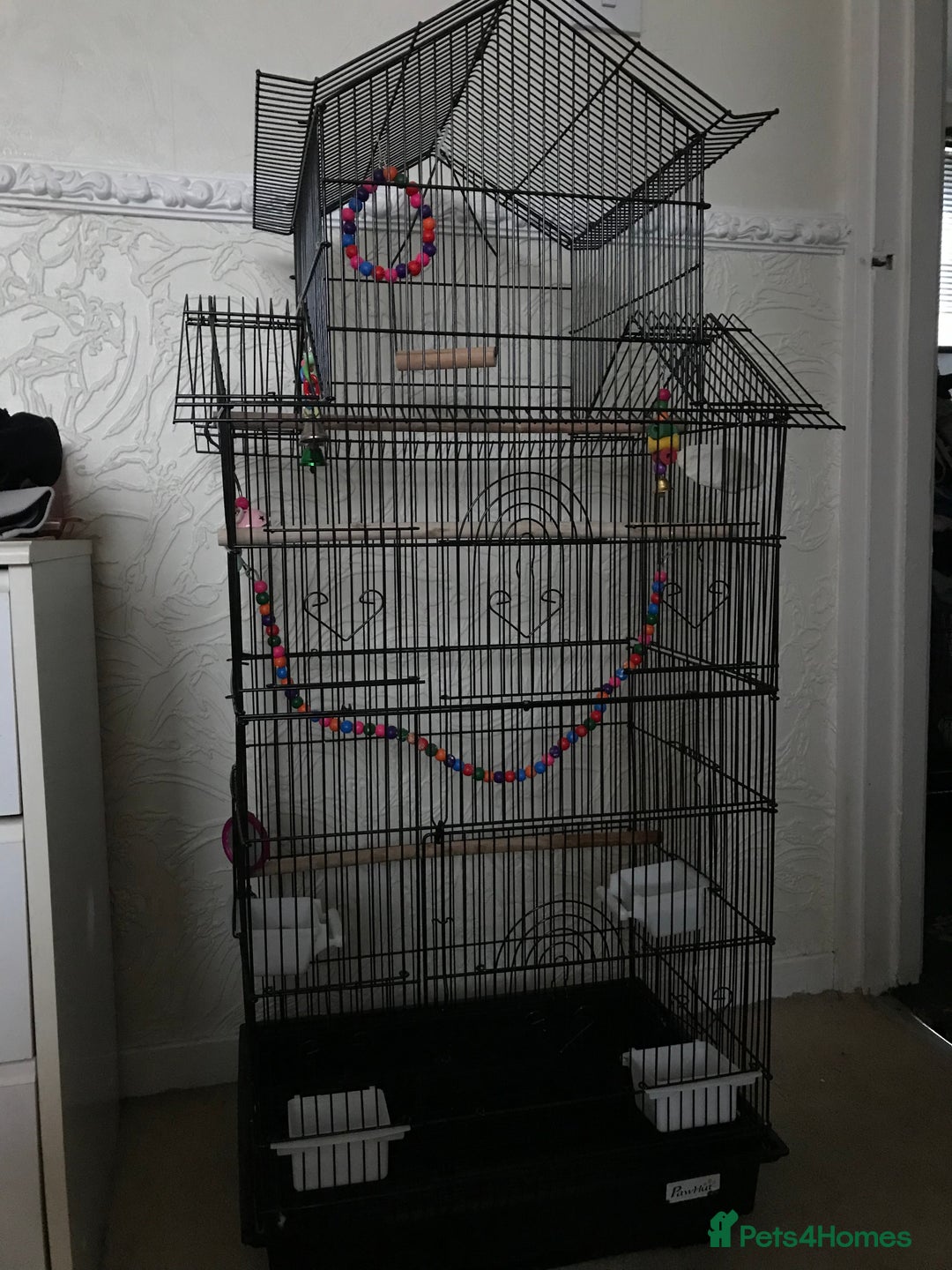 Budgerigars birds for sale: 2 budgies and cage - Image 3