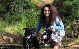 Border Collie dogs for sale: Border collie  - Image 8