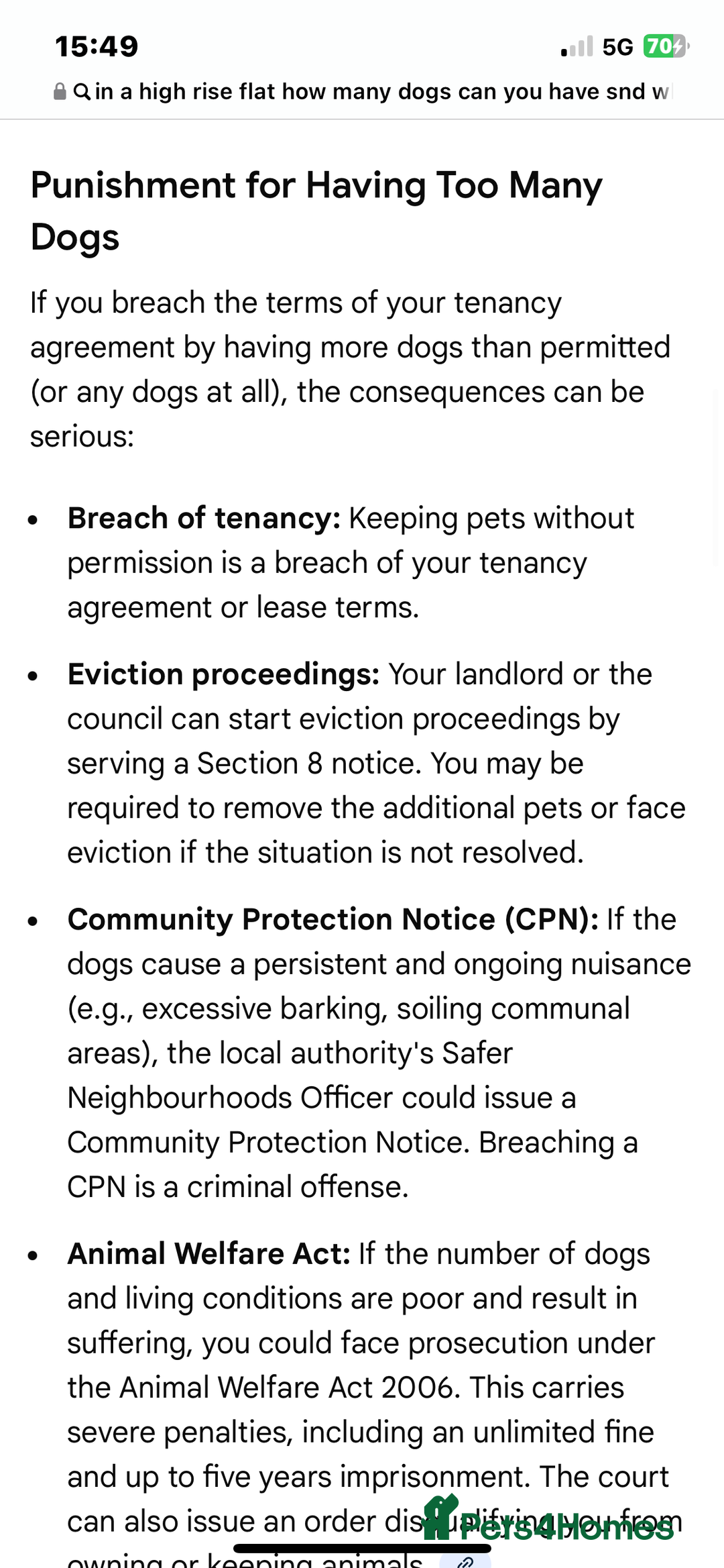 Mixed Breed dogs for sale: 4 pups - Advert 5