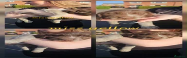 Girl miss yellow