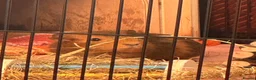 Guinea Pig rodents for sale: 2x Female Bonded Guinea Pigs in Redhill - Advert 5
