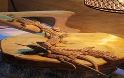 Bearded Dragon reptiles for sale: Baby bearded dragons £45 per baby  - Advert 1