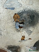 Labrador Retriever dogs - Advert 5