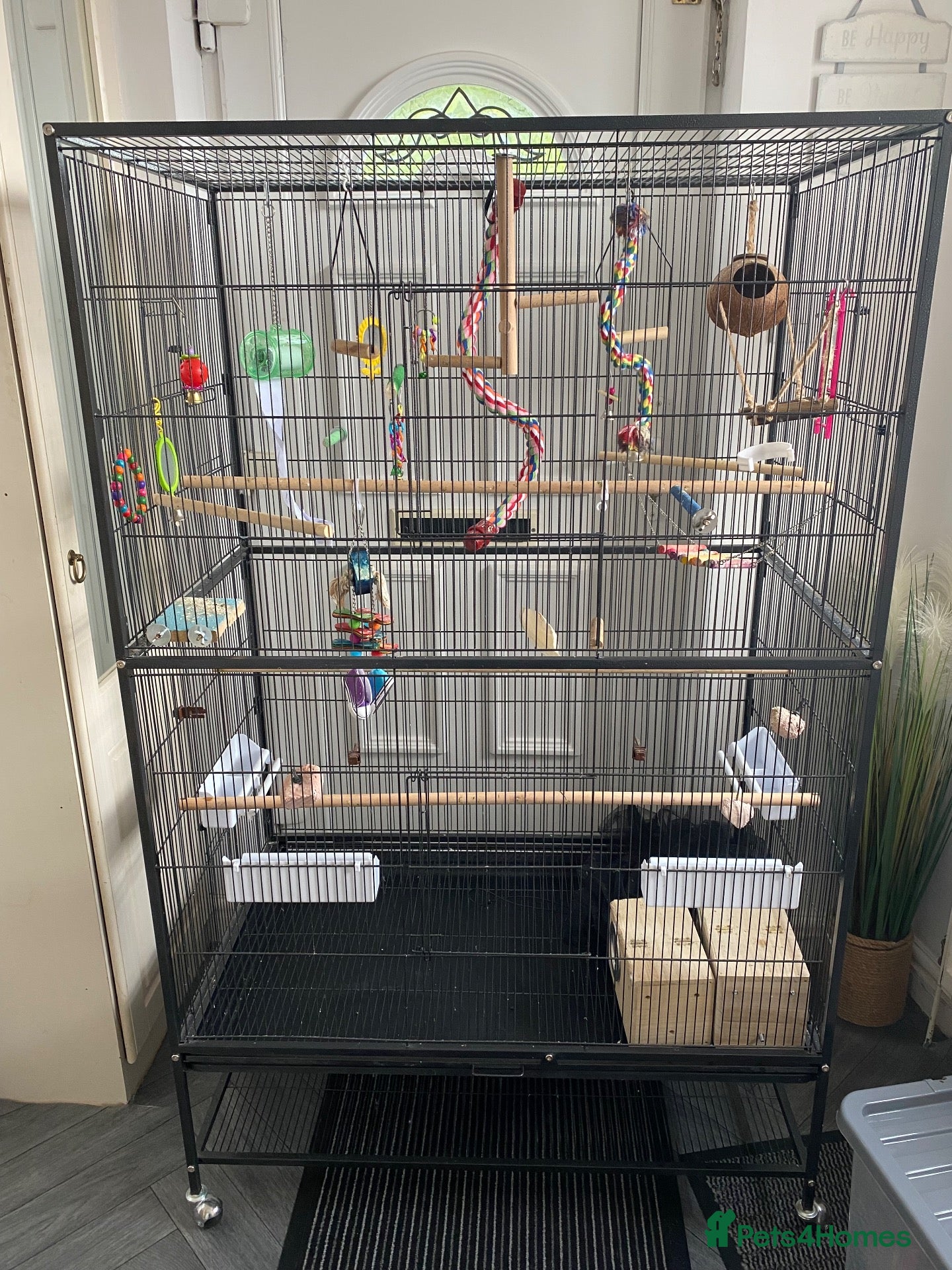 Budgerigars birds Bird cage and accessories  - Advert 4