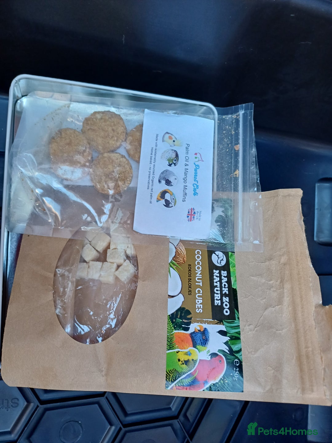 Macaws birds for sale: Blue & Gold Macaw For Sale - Image 15