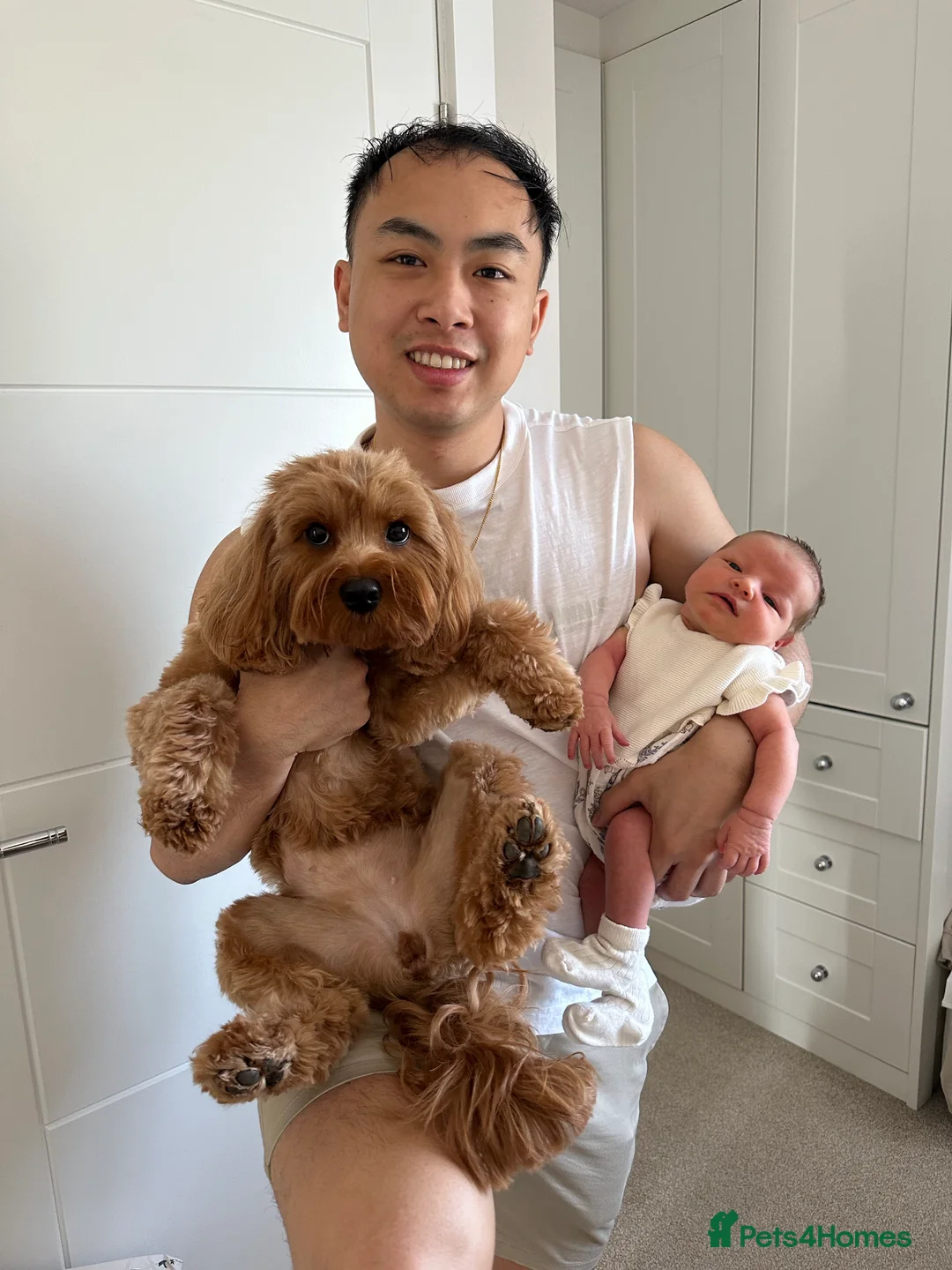 Gallery Image {{count}}