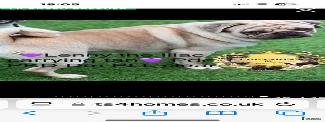 Lenny 