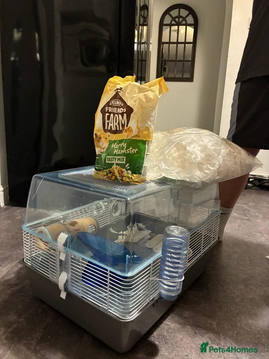 Hamster rodents for sale: Hamster CAGE (includes,food,water bottle etc  - Advert 1