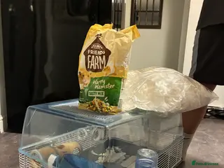 Hamster rodents Hamster CAGE (includes,food,water bottle etc - Advert 3