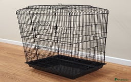 Budgerigars birds for sale: 3 Healthy Budgies with Cage & Toys Manchester  - Image 9