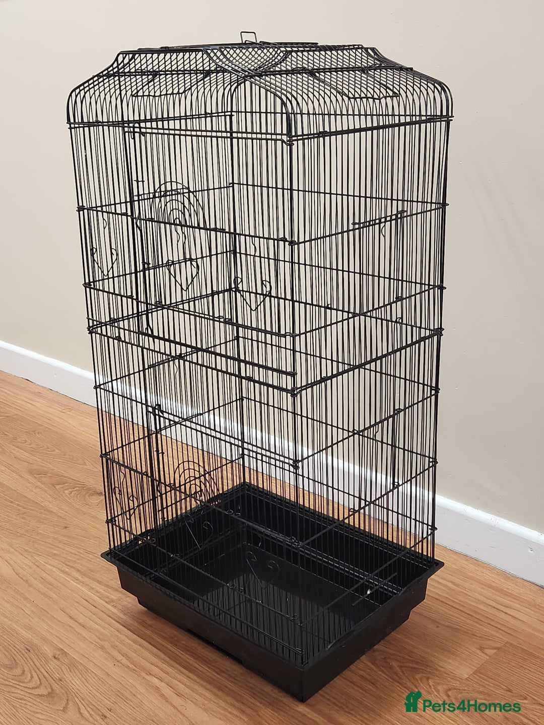 Budgerigars birds for sale: 3 Healthy Budgies with Cage & Toys Manchester  - Image 9