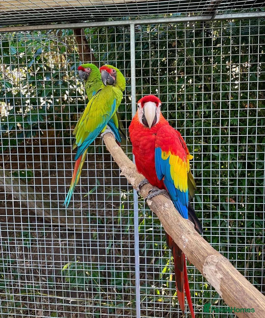 Gallery Image {{count}}