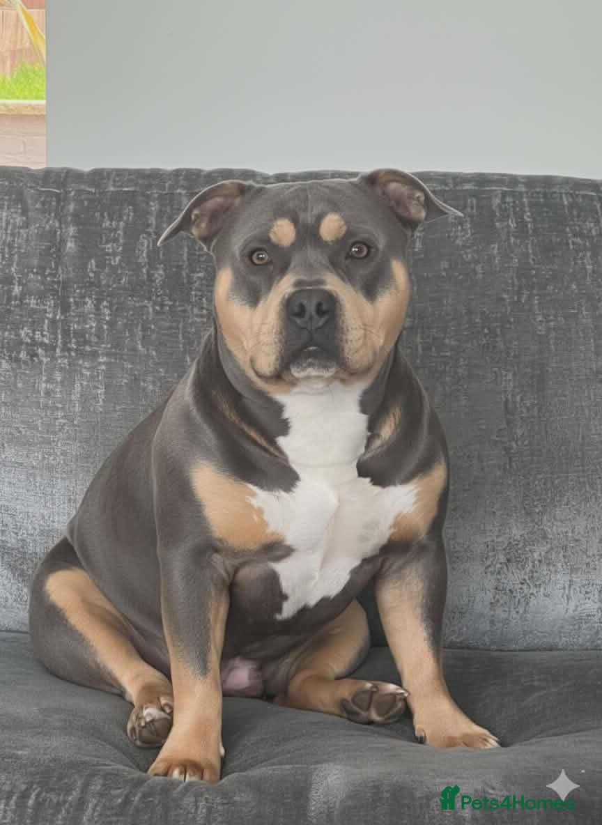Pablo 