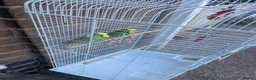 Budgerigars birds for sale: Selling Buggies  parrots with cage & Acessories. - Advert 9