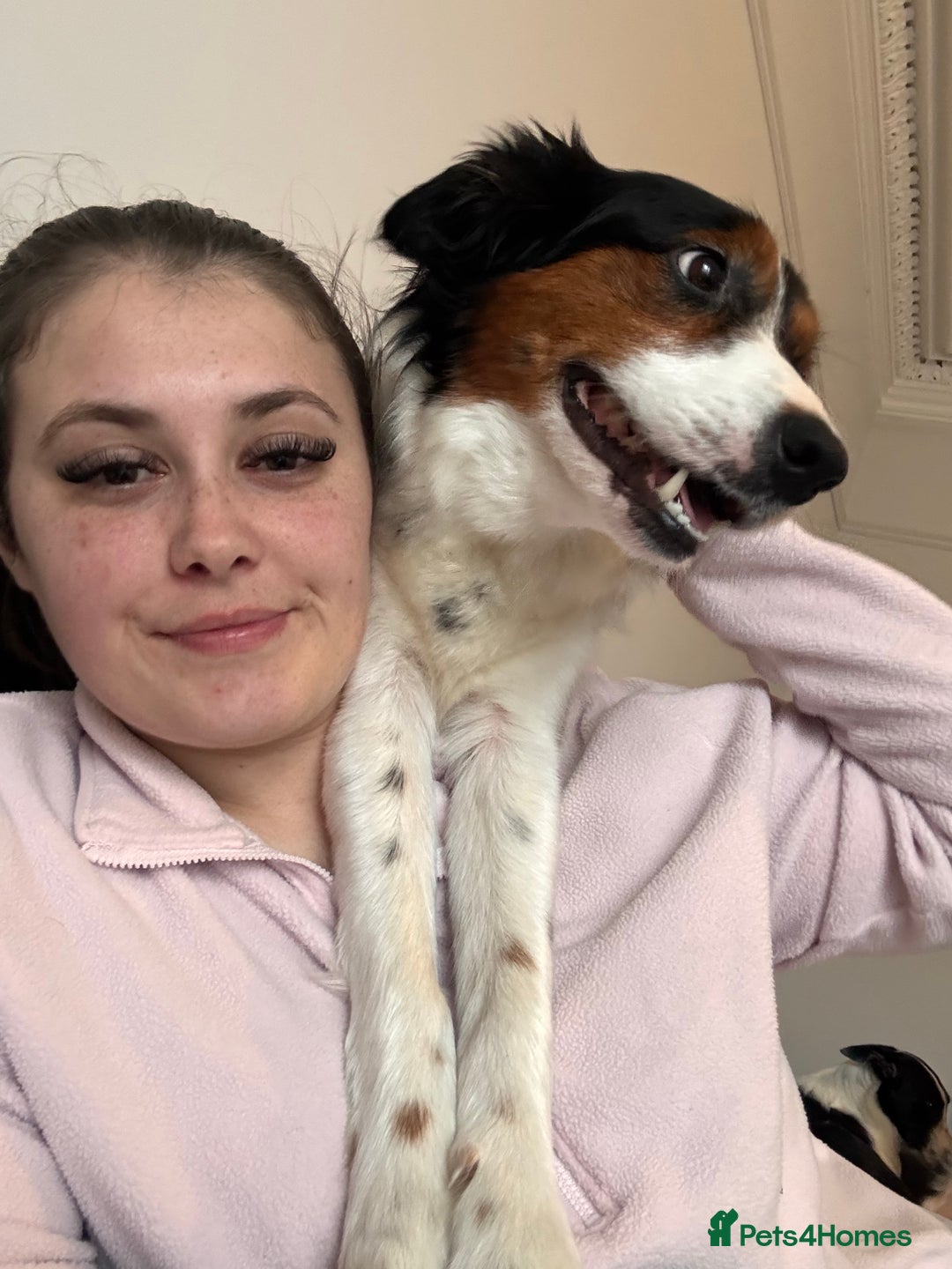 Gallery Image {{count}}