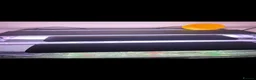 Frog reptiles for sale: Dendrobates tinctorius + full set up in Sheffield - Advert 12