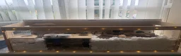 Hamster rodents for sale: Female Syrian Hamster with Cage and Accessories  in Bradford - Advert 3