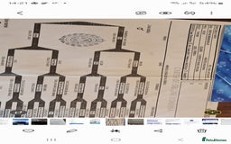 Belgian Shepherd Dog dogs for sale: Belgian Shepherd puppies - Advert 26