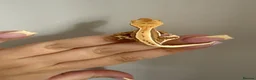 Gecko reptiles for sale: Baby crested gecko’s  - Advert 8