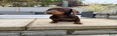 AERO